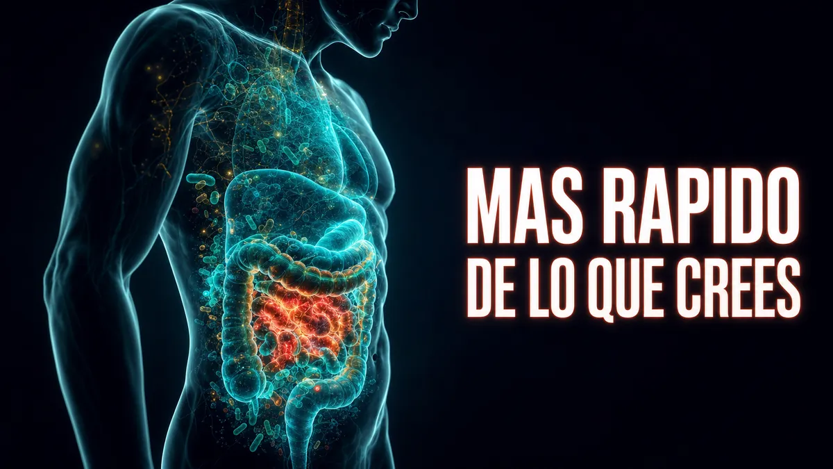 Por qué tu intestino envejece más rápido de lo que crees